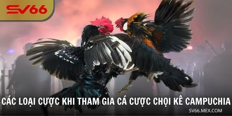 Các loại cược khi tham gia cá cược chọi kê Campuchia