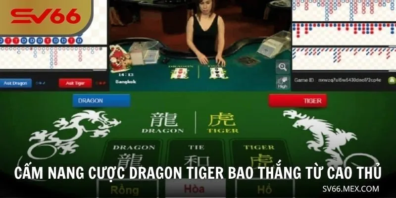 Cẩm nang cược Dragon Tiger bao thắng từ cao thủ