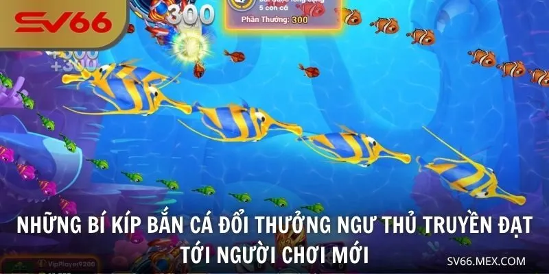 Những bí kíp bắn cá đổi thưởng ngư thủ truyền đạt tới người chơi mới