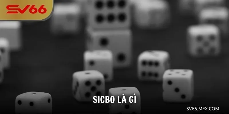 Sicbo Là Gì
