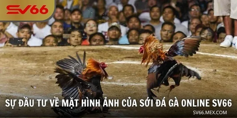 Sự đầu tư về mặt hình ảnh của sới đá gà online SV66